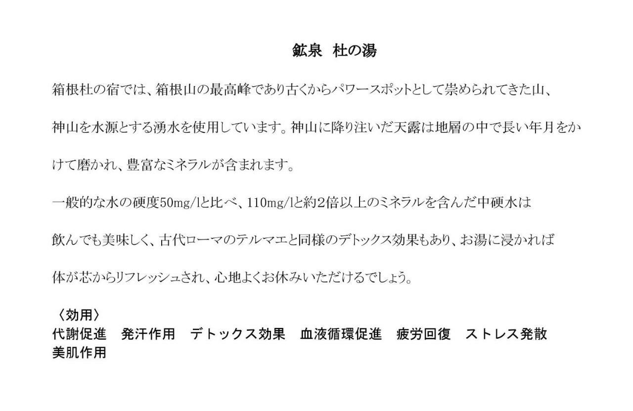 מלון Hakone Mori No Yado מראה חיצוני תמונה